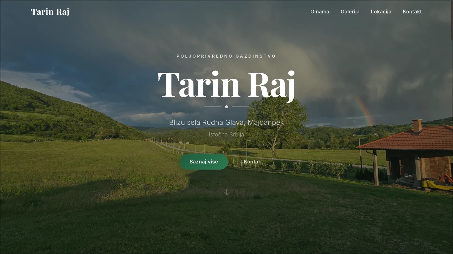 Tarin Raj homepage hero screenshot